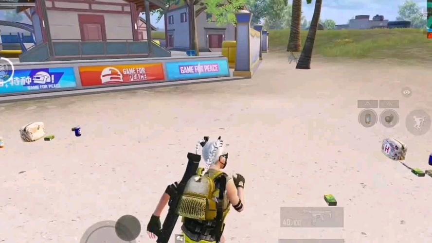 和平精英辅助【AI内核】方框透视 骨骼显示 人物射线 手持武器 触摸自瞄